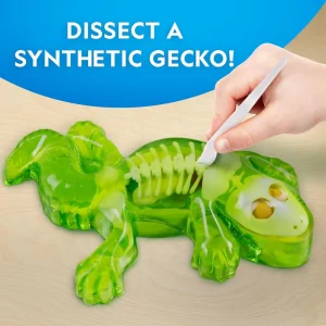 stem-toys-giai-phau-than-lan-1