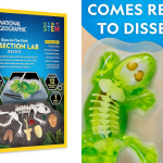 stem-toys-giai-phau-than-lan